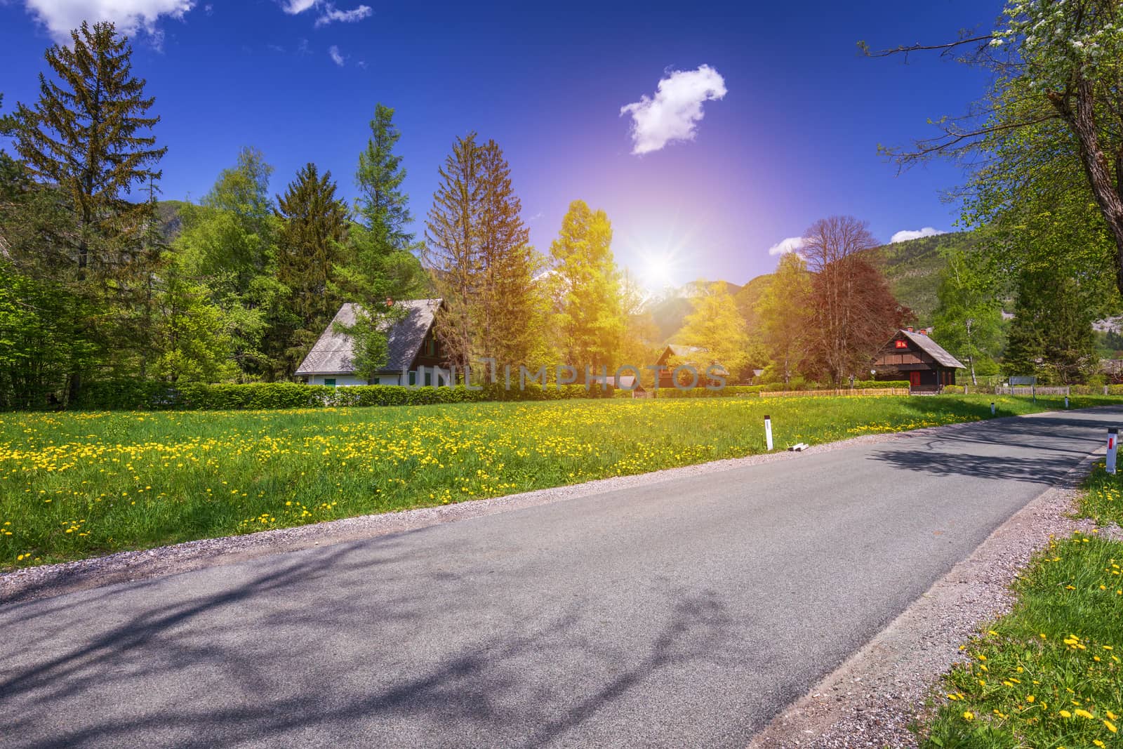 Landscape view of one wooden rural cottage on green meadow surrounded with green forest. Summer in Bohinj, Stara Fuzina, Slovenia,Europe.