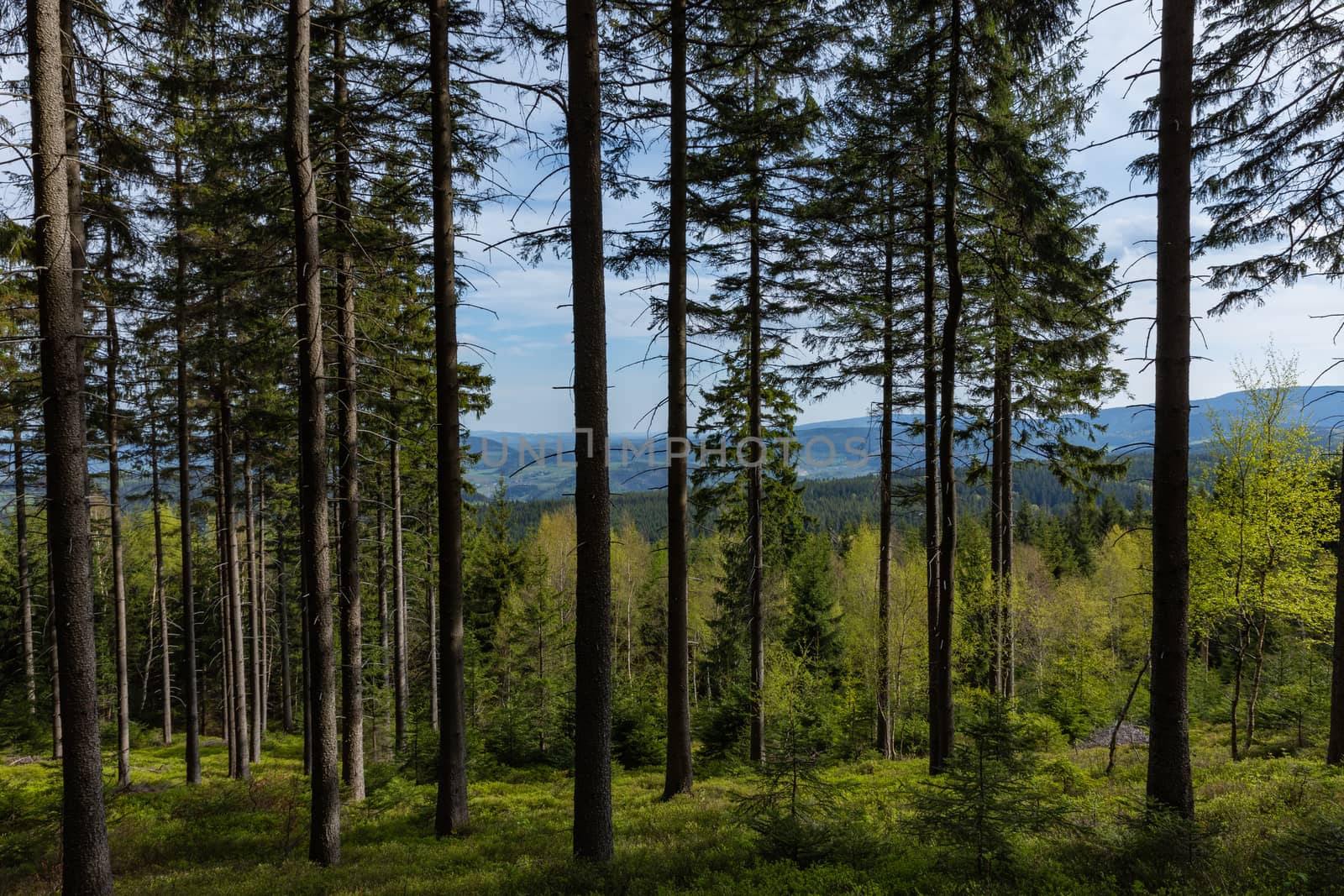 Rudawy Janowickie Landscape Park. Mountain range in Sudetes in P by mariusz_prusaczyk