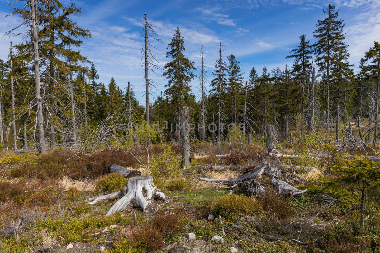 Stolowe Mountains National Park in Kudowa-Zdroj, Poland. A popular destination for trips in Poland.