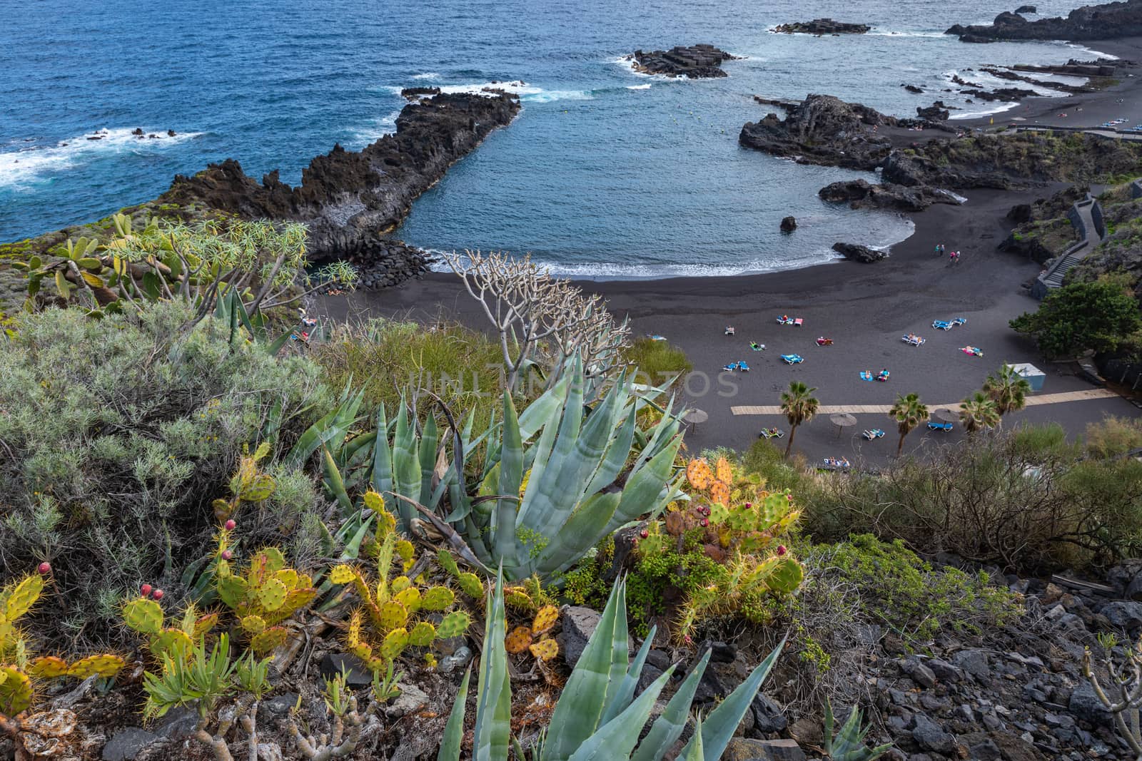 Tropical cactus garden and black sand beach at Los Cancajos. La  by mariusz_prusaczyk