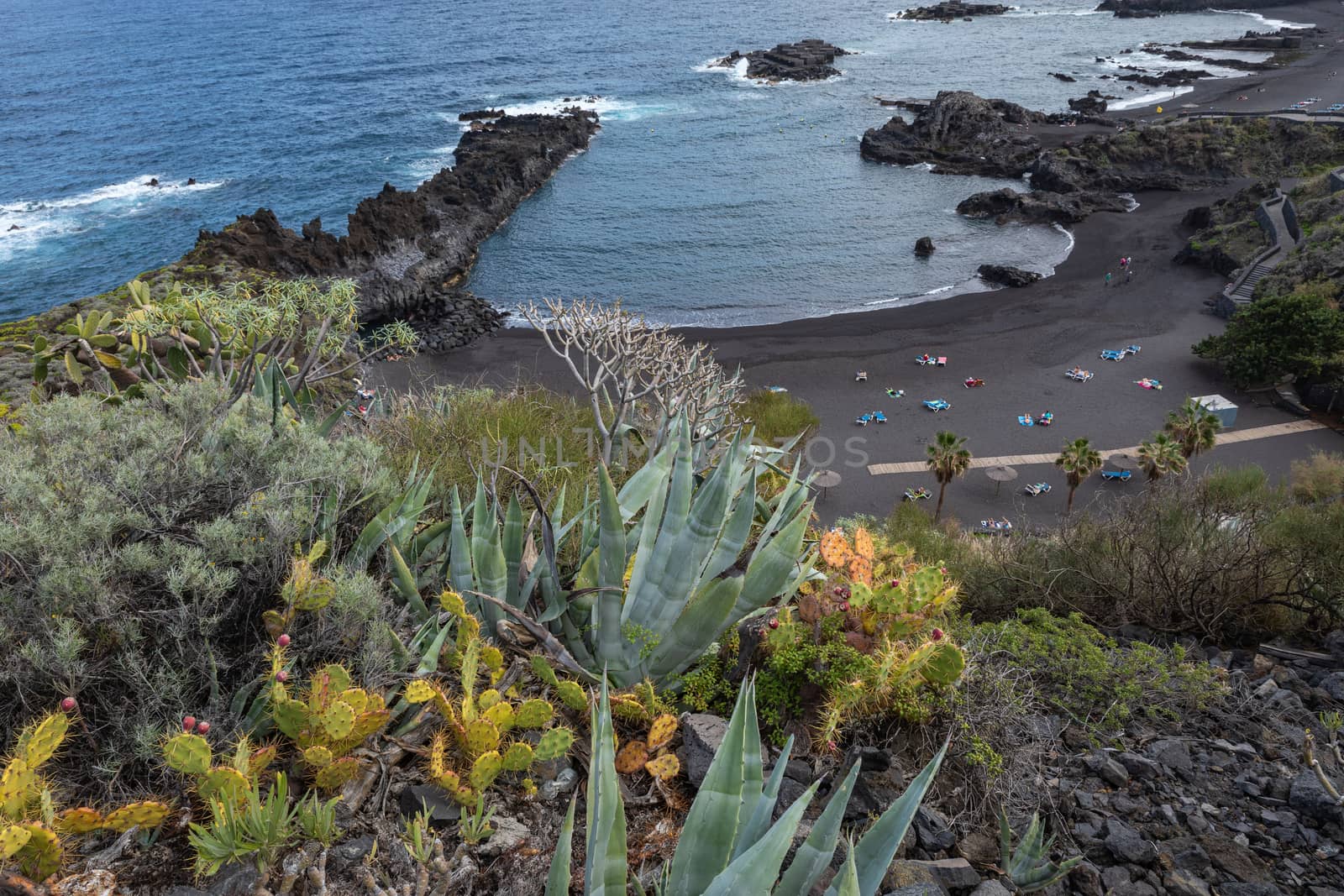 Tropical cactus garden and black sand beach at Los Cancajos. La Palma, Canary Island, Spain.