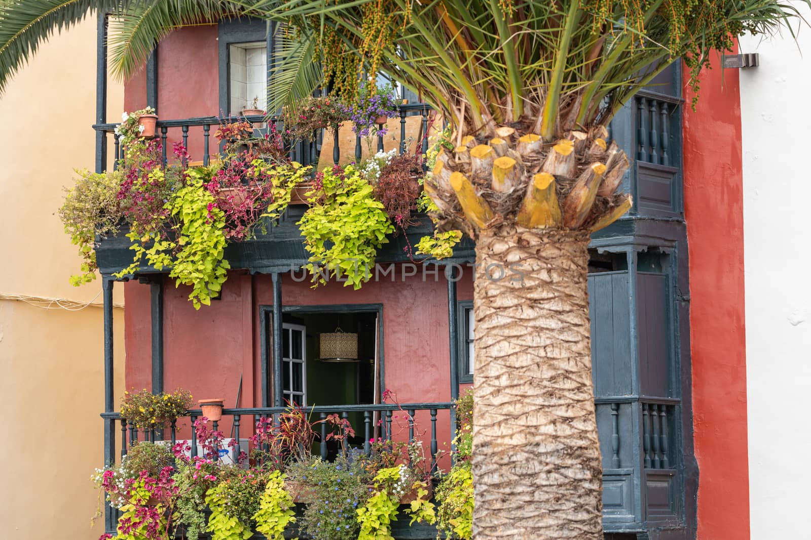 Famous ancient colorful balconies decorated with flowers in La P by mariusz_prusaczyk