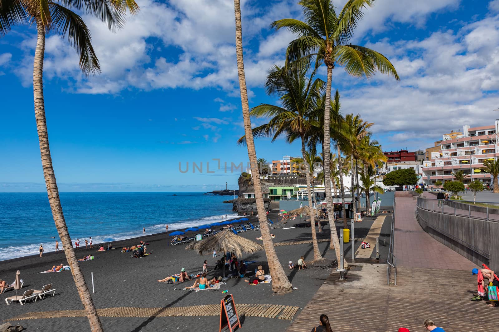 Palms  at beach with black lava sand at Puerto Naos in La Palma  by mariusz_prusaczyk