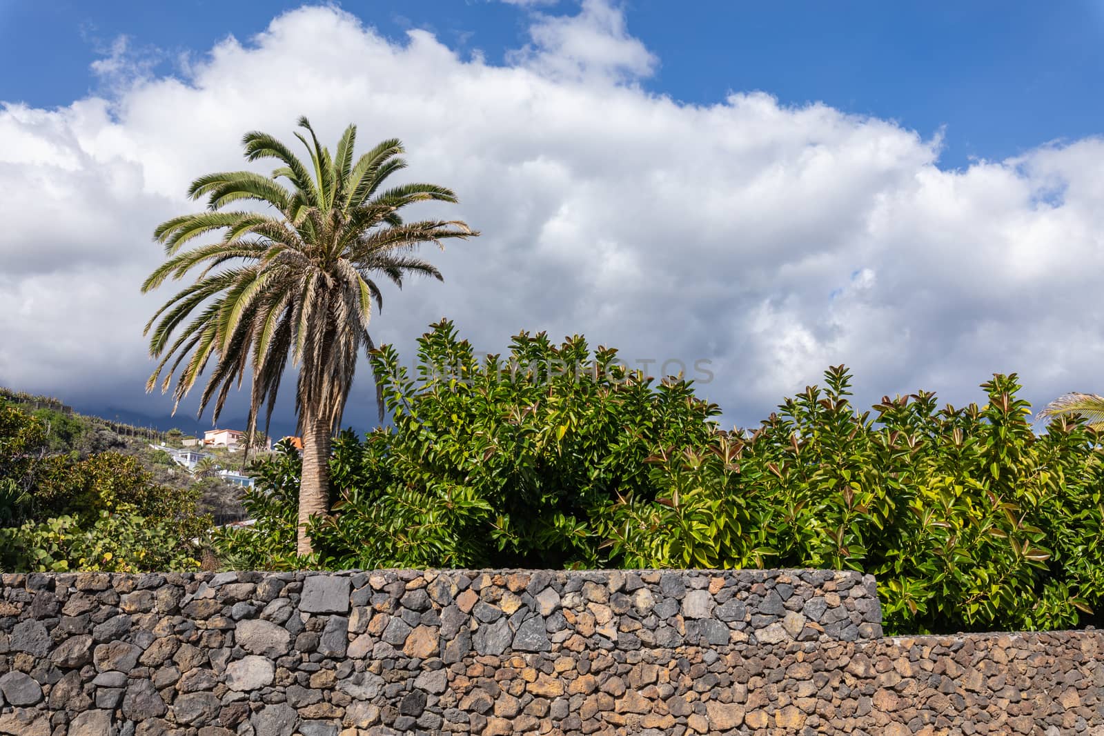 View on the Los Cancajos beach in La Palma, Canary islands, Spai by mariusz_prusaczyk