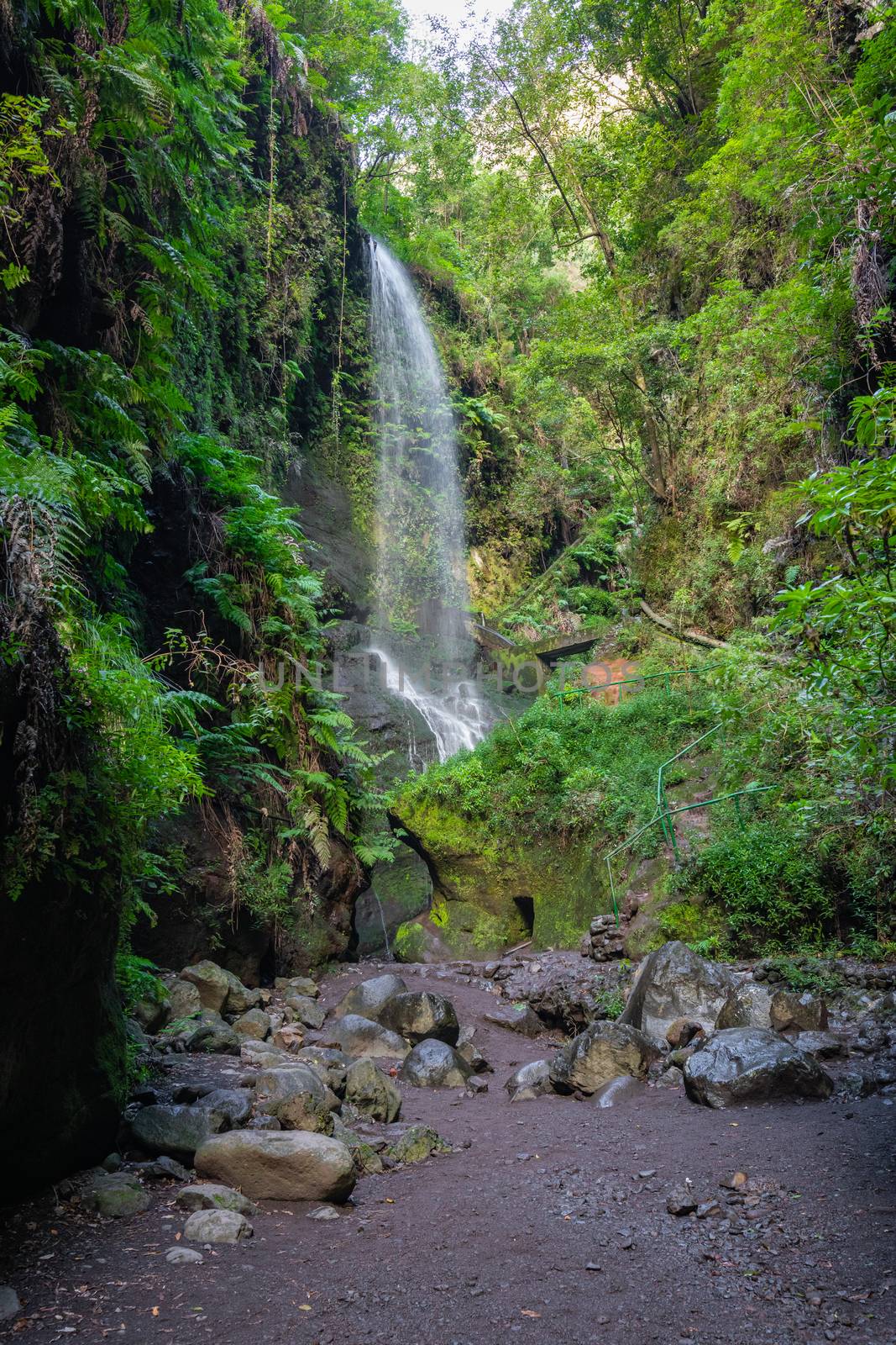 Waterfall at Los Tilos, La Palma, Canary Islands (Spain) by mariusz_prusaczyk
