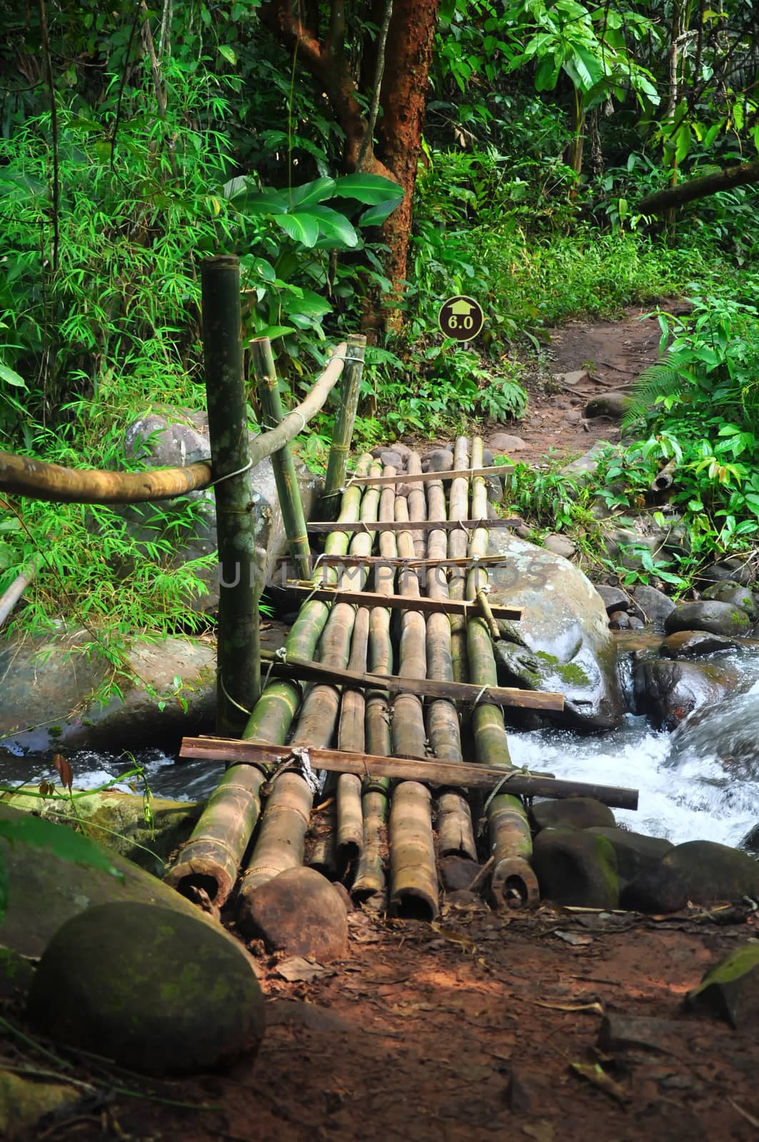 Old wooden bridge across the stream in the forest, Phu Soi Dao National Park, Thailand.