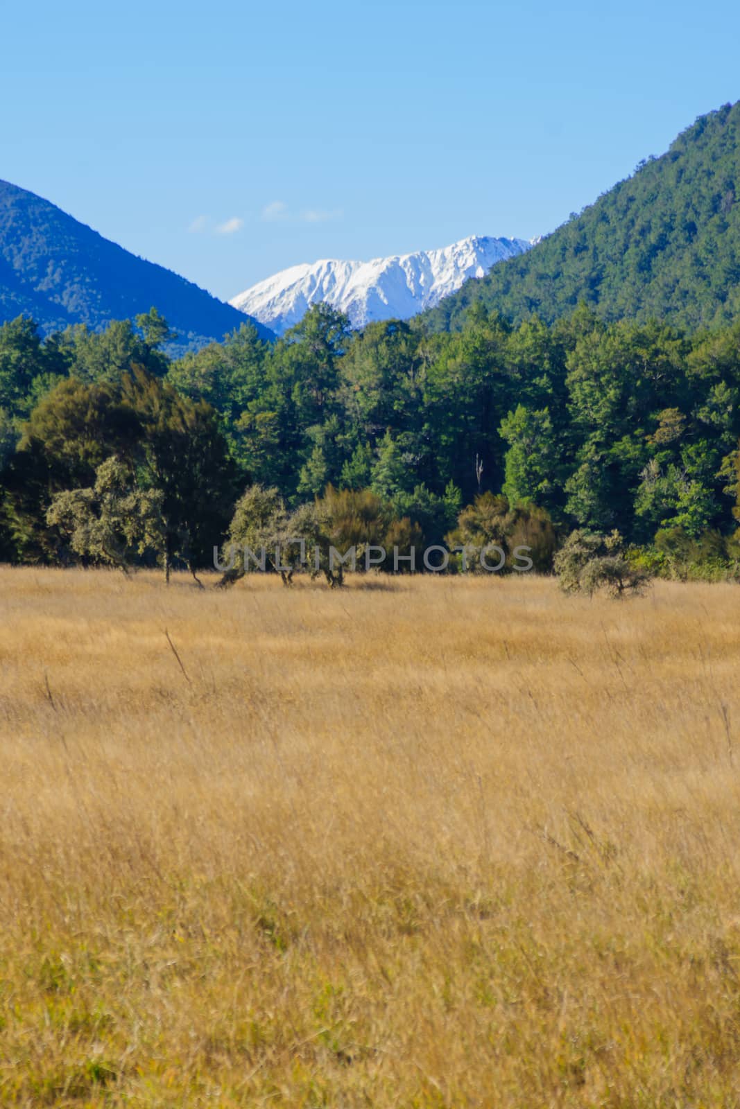 Lewis Pass by RnDmS