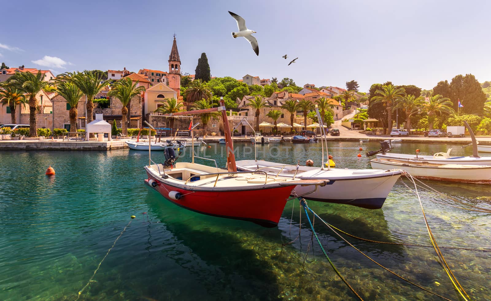 Splitska village with beautiful port and seagull's flying over the village, Brac island, Croatia. Fishing boats in Splitska village on Brac island seafront view, Dalmatia, Croatia, Croatia.