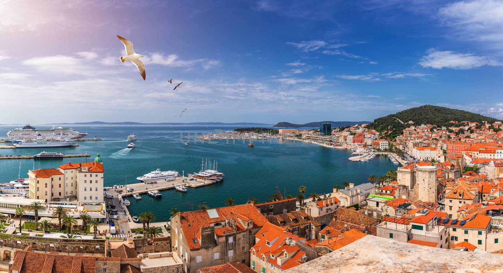 Split waterfront and Marjan hill aerial view, Dalmatia, Croatia. Panoramic summer cityscape of old medieval city Split, Croatia, Europe.  Traveling concept background. Seagull's flying over Split.