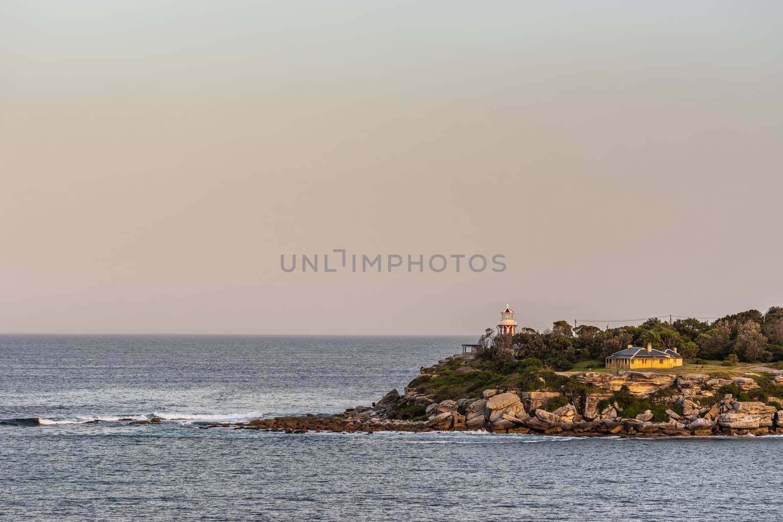 South Head cliffs at sea gate, Sydney Australia. by Claudine
