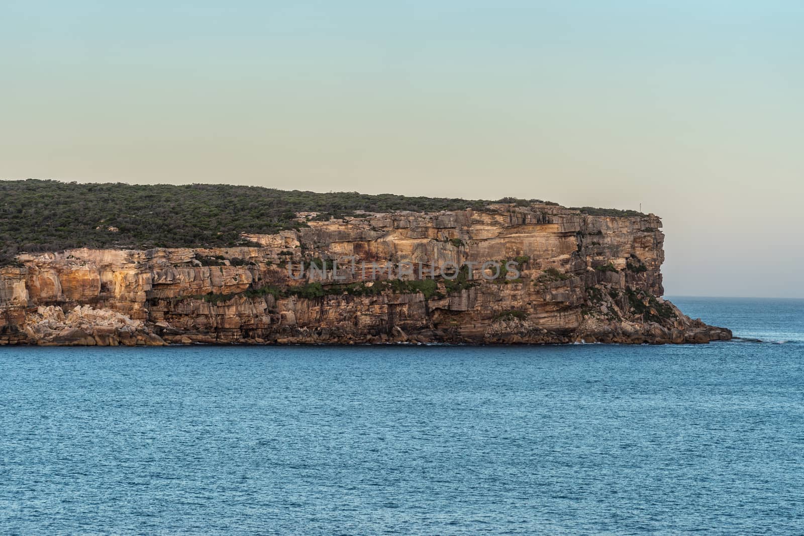 North Head cliffs at gate to Sydney Bay, Australia. by Claudine