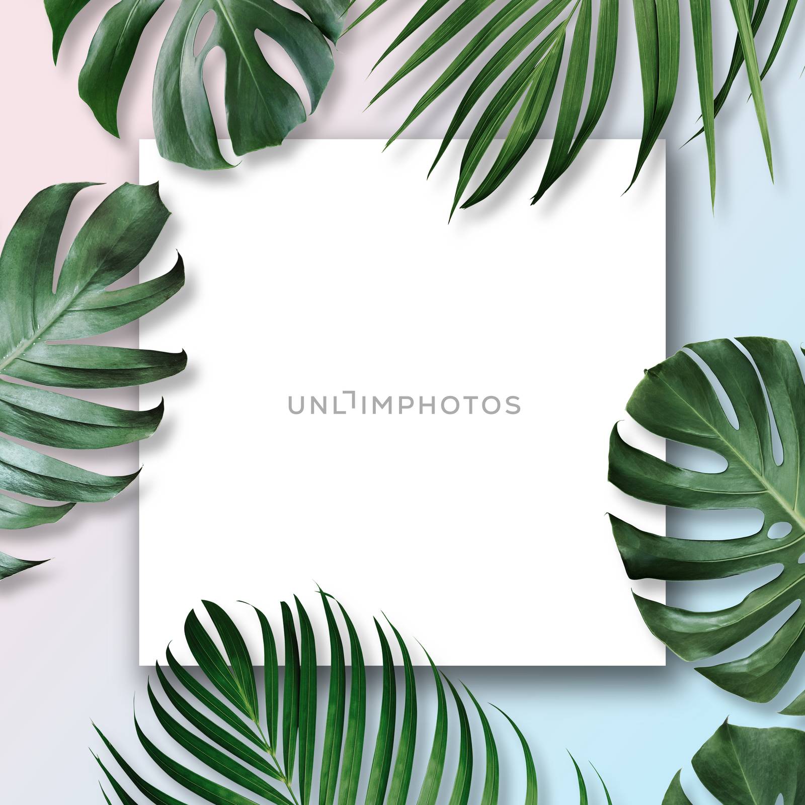 Summer tropical leaves with blank white paper by Myimagine