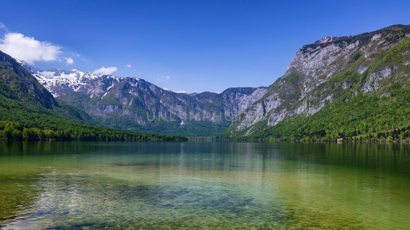 Lake Bohinj in Slovenia, beauty in nature. Colorful summer on the Bohinj lake in Triglav national park Slovenia, Alps, Europe. Mountain Lake bohinj in Julian Alps, Slovenia