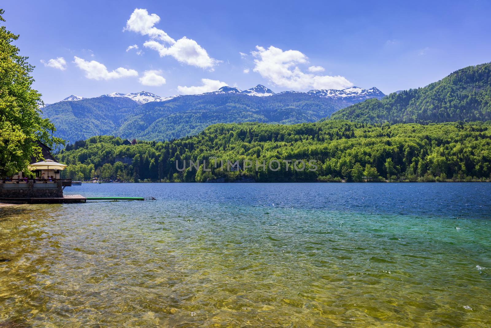 Lake Bohinj in Slovenia, beauty in nature. Colorful summer on the Bohinj lake in Triglav national park Slovenia, Alps, Europe. Mountain Lake bohinj in Julian Alps, Slovenia