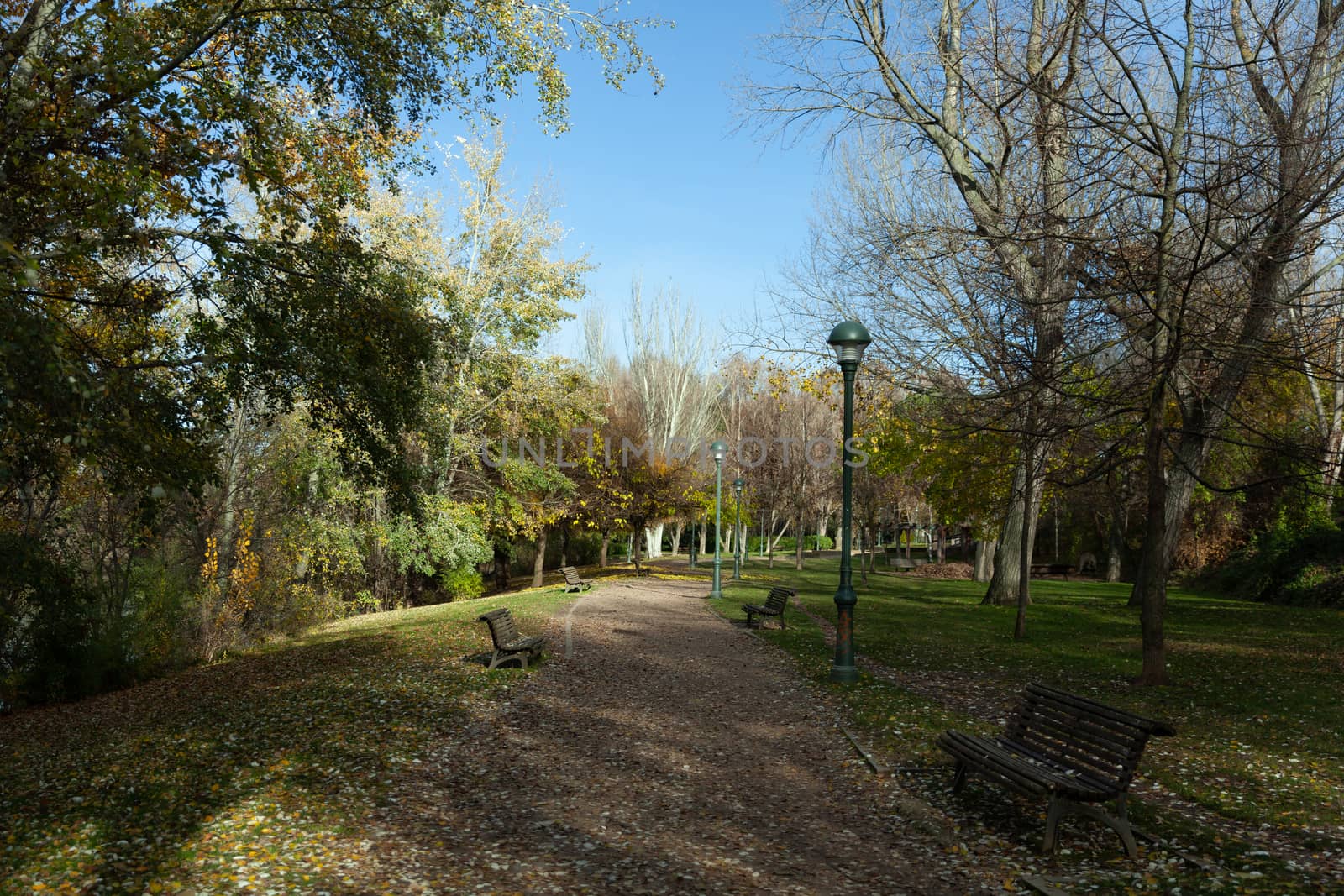 Parque Ribera De Castilla, Valladolid, Spain by vlad-m
