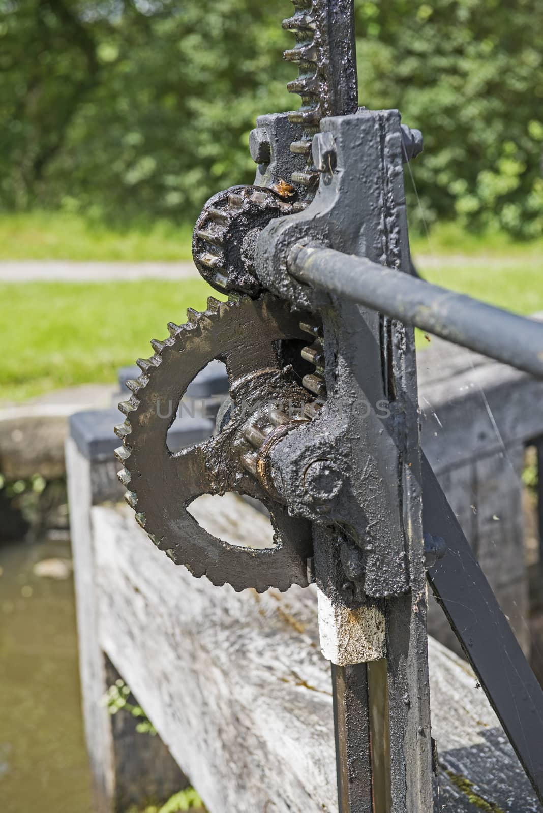 Closeup detail of old winding gear cog wheel on canal lock gate in rural setting