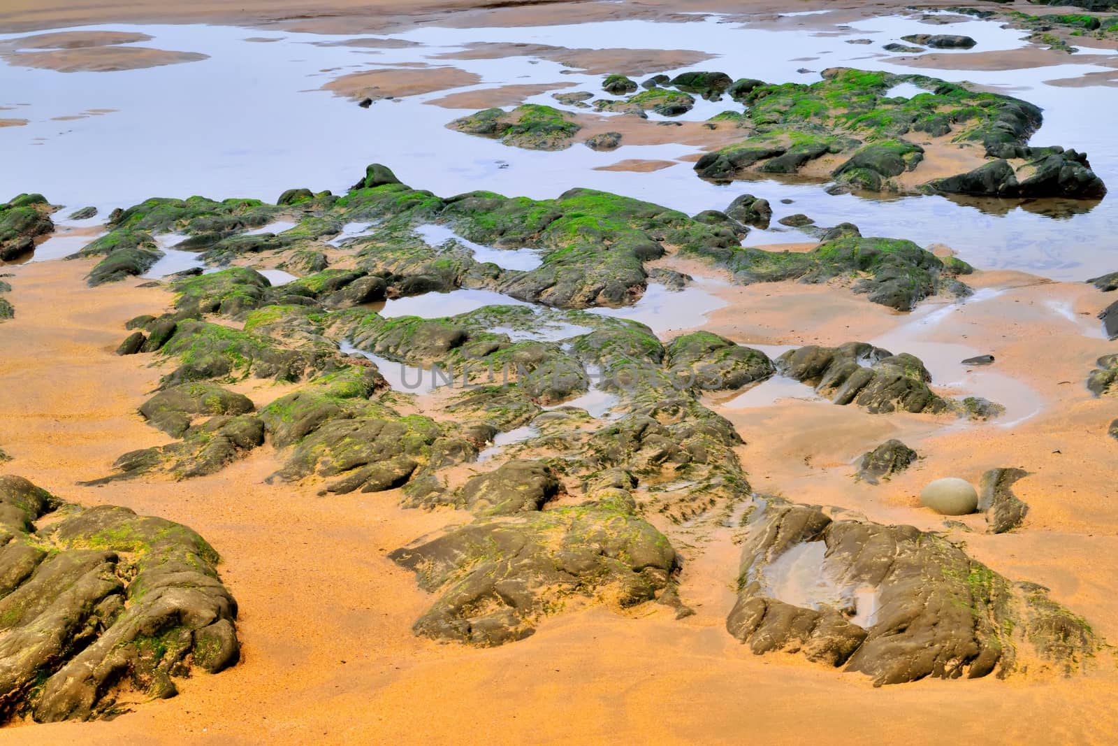 Both Panoramic and some more detailed images of beautiful Coastal scenes.