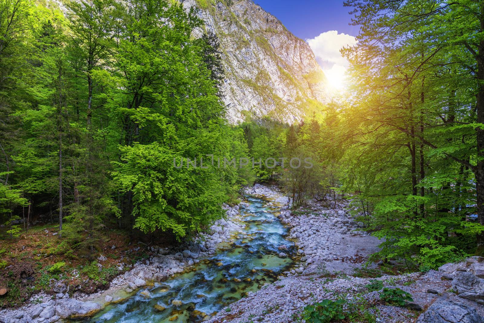 Mountain wild river landscape. River valley in mountains. Wild m by DaLiu