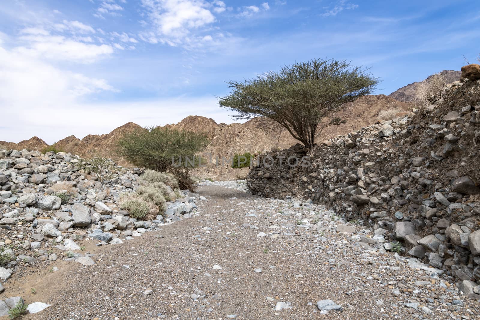 dry riverbed between small canyon Mountains of Ras Al Khaimah Emirates, United Arab Emirates (UAE), Middle East