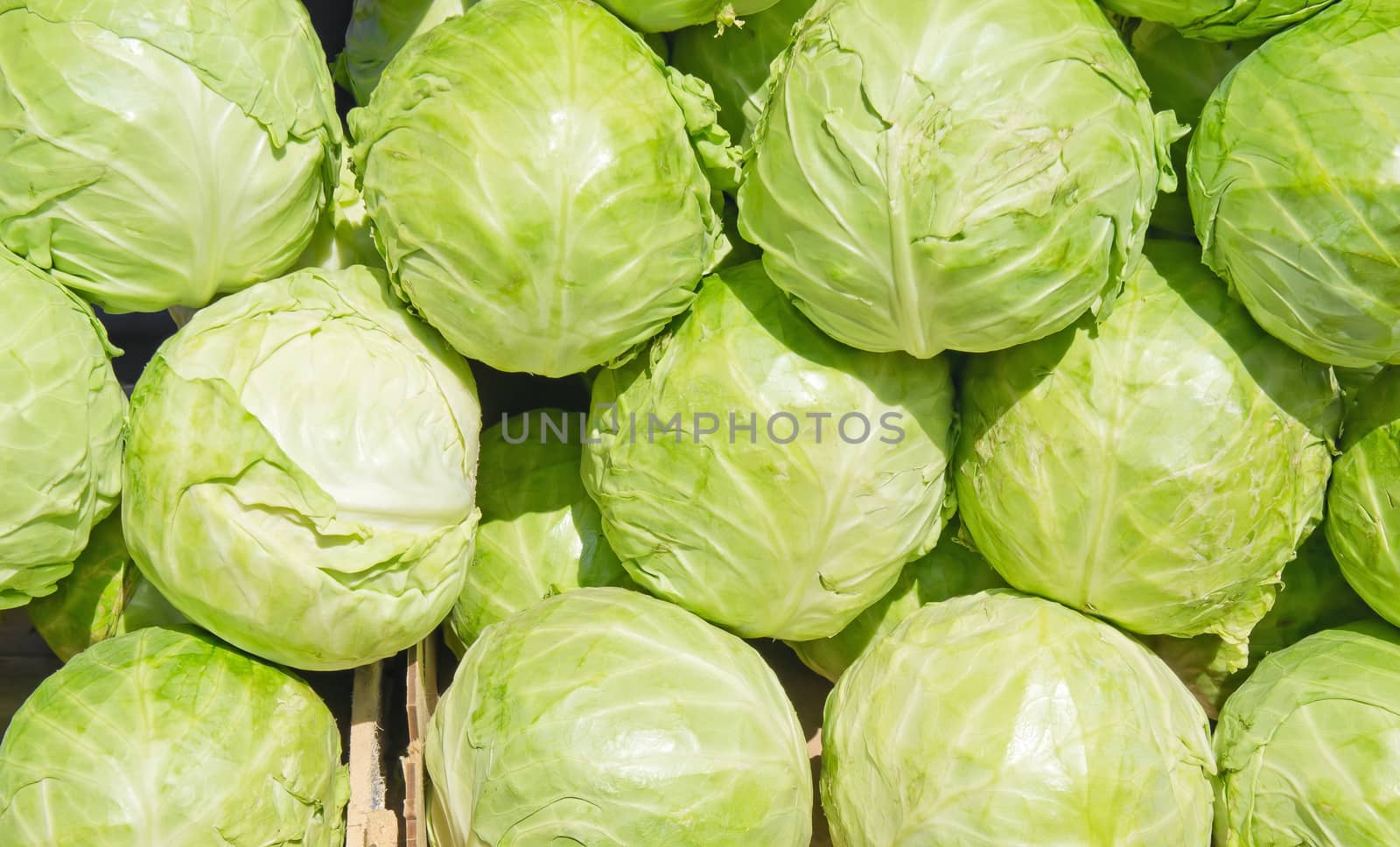 Fresh Green Cabbage background on the street market.