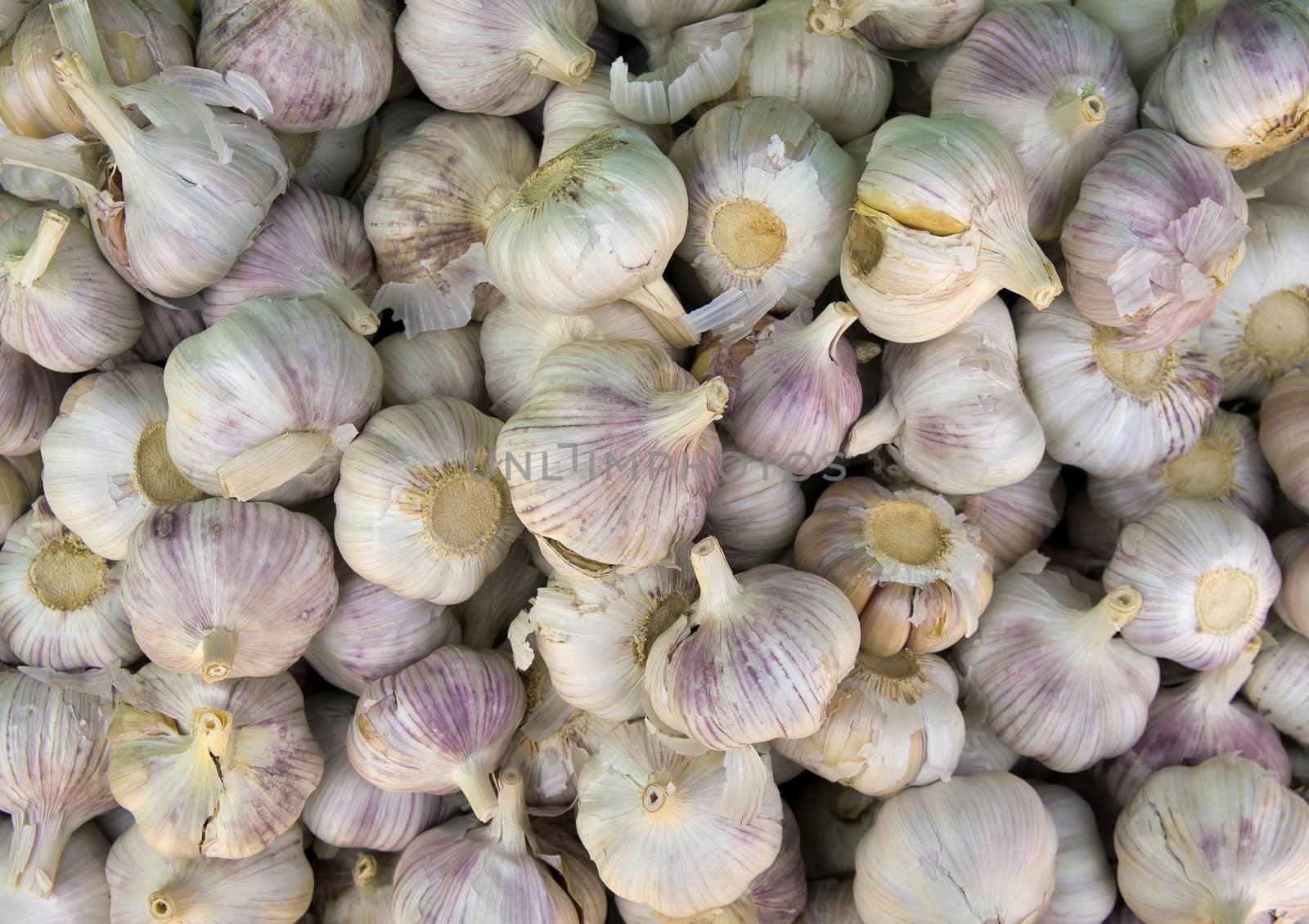 Fresh Garlic background on the street market.