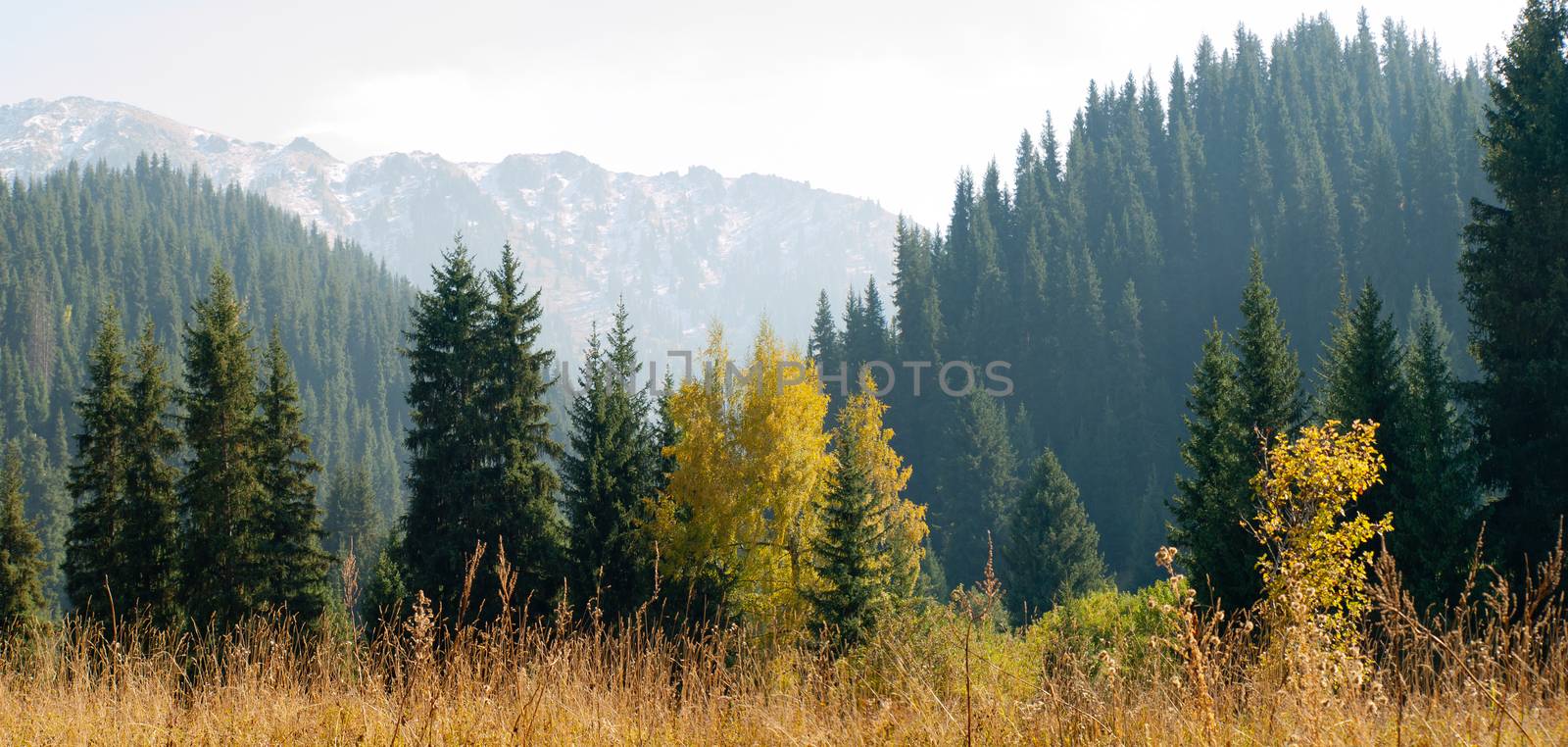 Panorama view of beautiful mountains landscape in alps