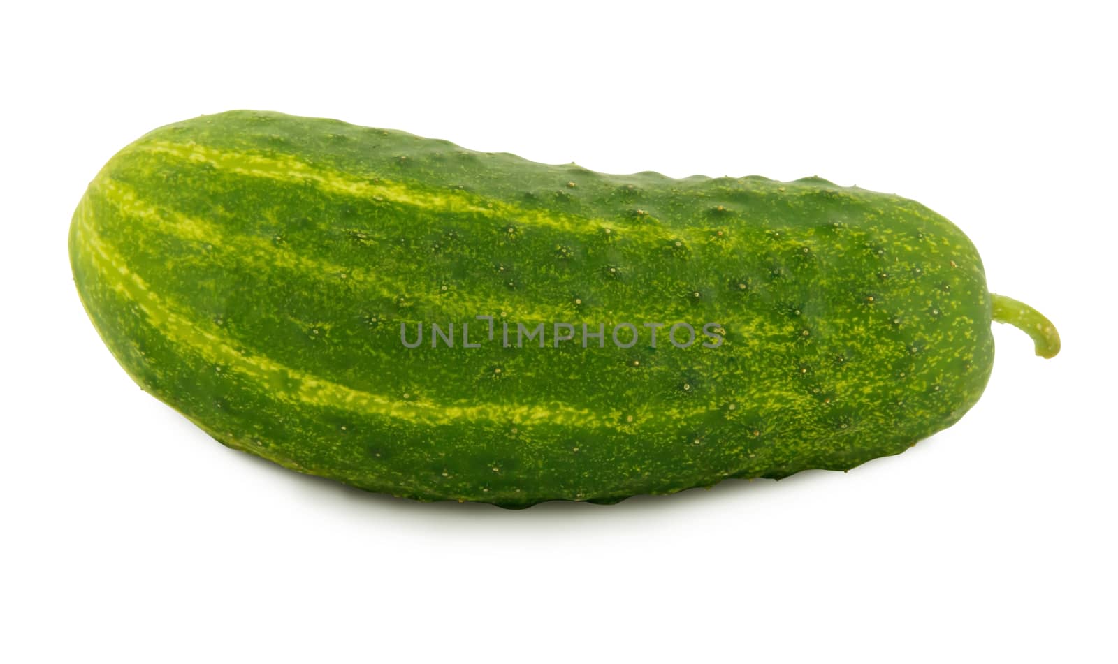 Cucumber with shadow over white background. Clipping path included.