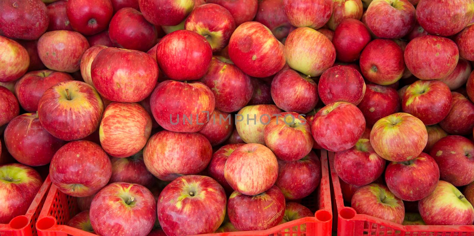 Lots of red ripe apples on the street market