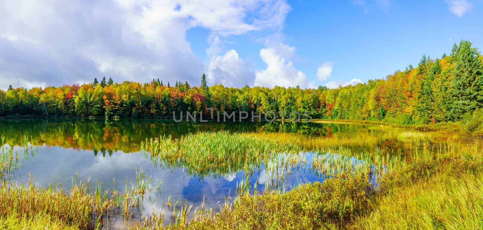 Lac Coutu, with fall foliage colors in Saint-Donat, Laurentian M by RnDmS