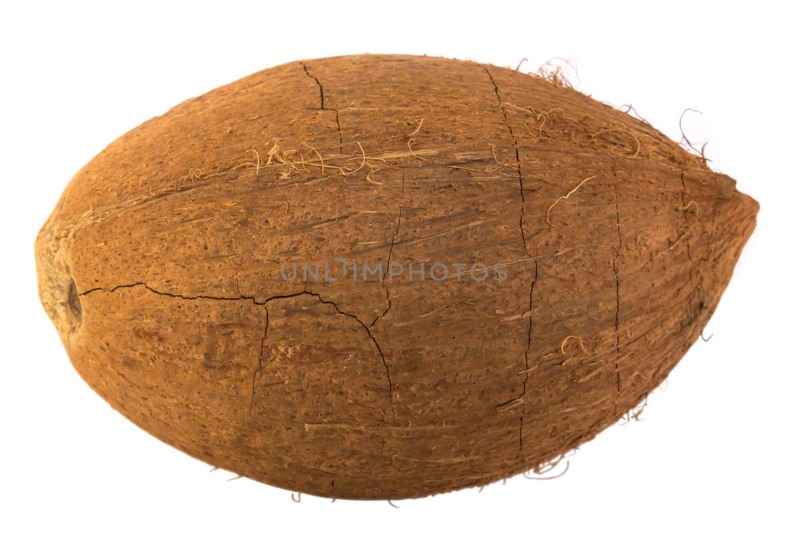 Coconut with crack isolated on white background