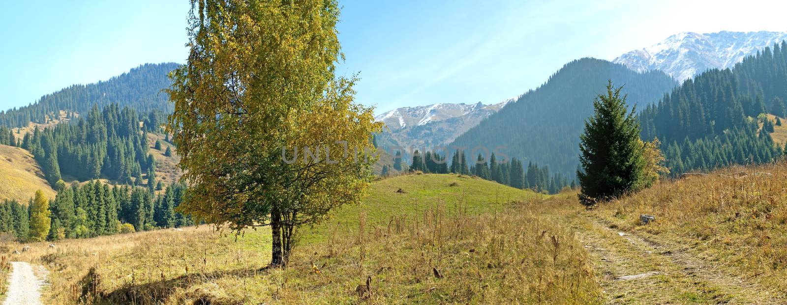 Panorama view of beautiful mountains landscape in alps