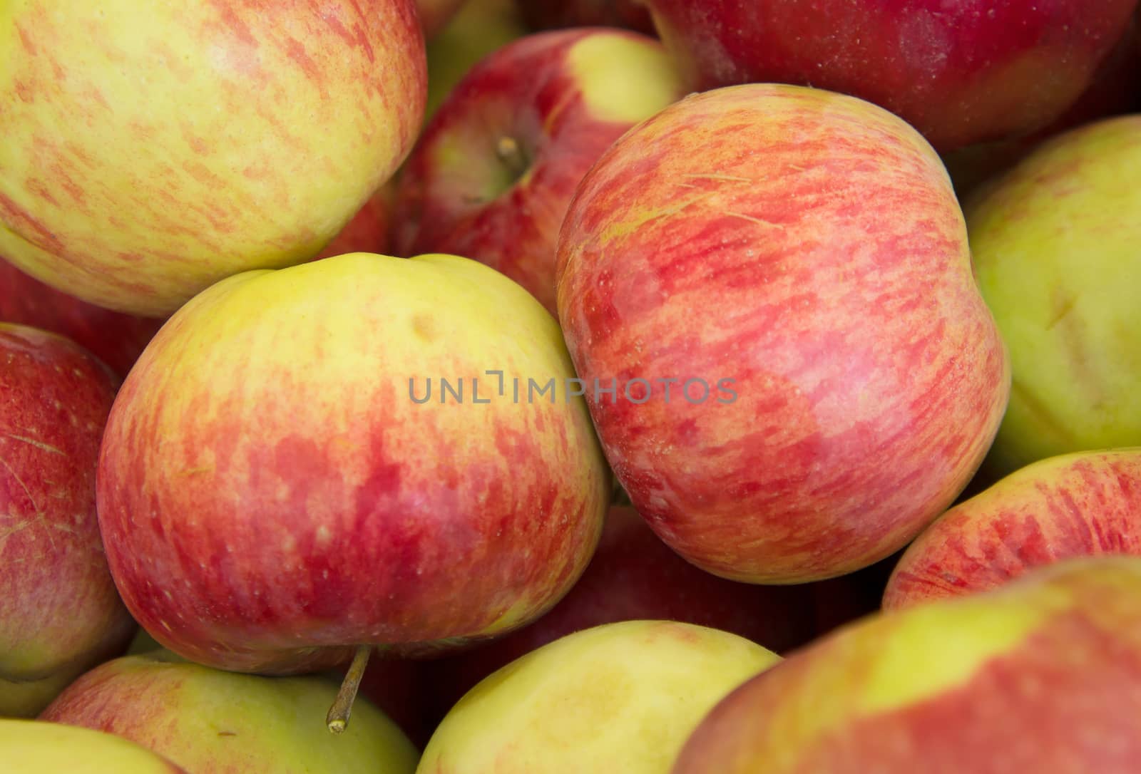 Lots of Red ripe apples in the street market