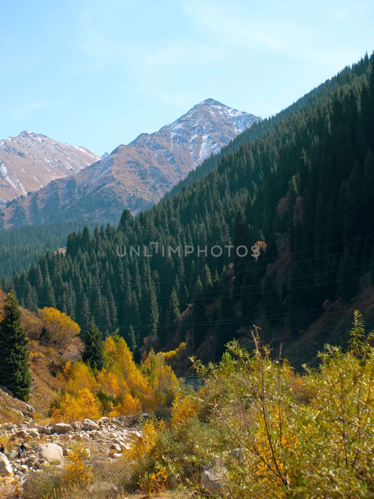 Mountains autumn by Venakr