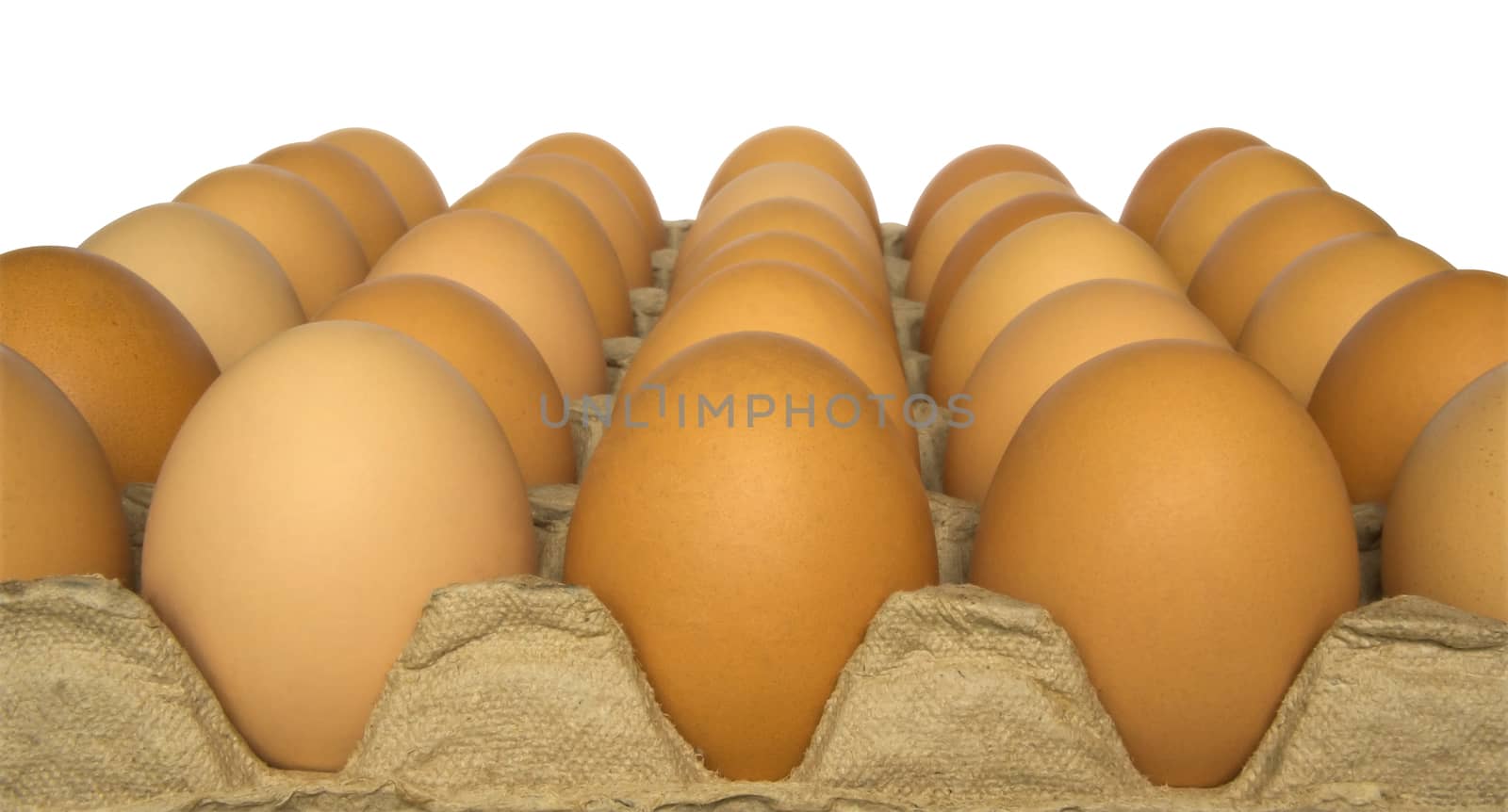 Close up of  brown eggs in the special carrying box isolated on white. Clipping path included.