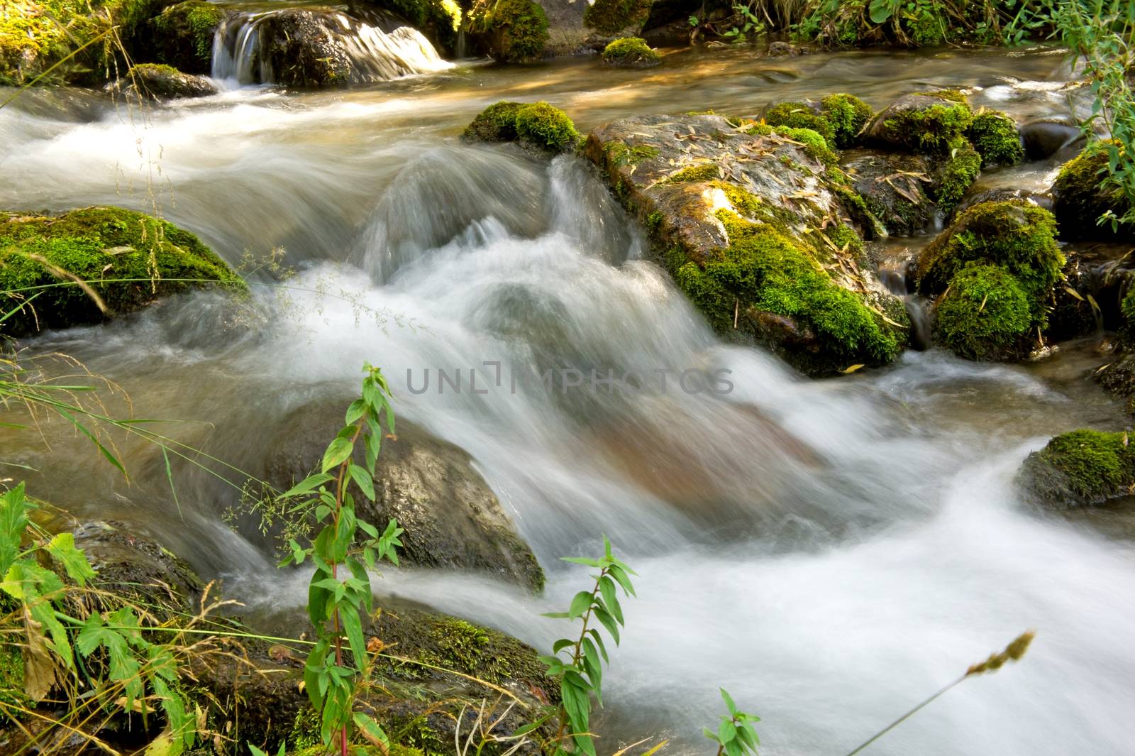 Water stream by Venakr