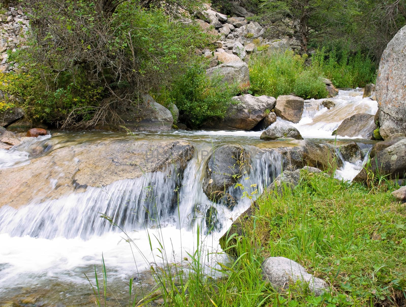 Mountains River in the Alps. Forest stream running over rocks.