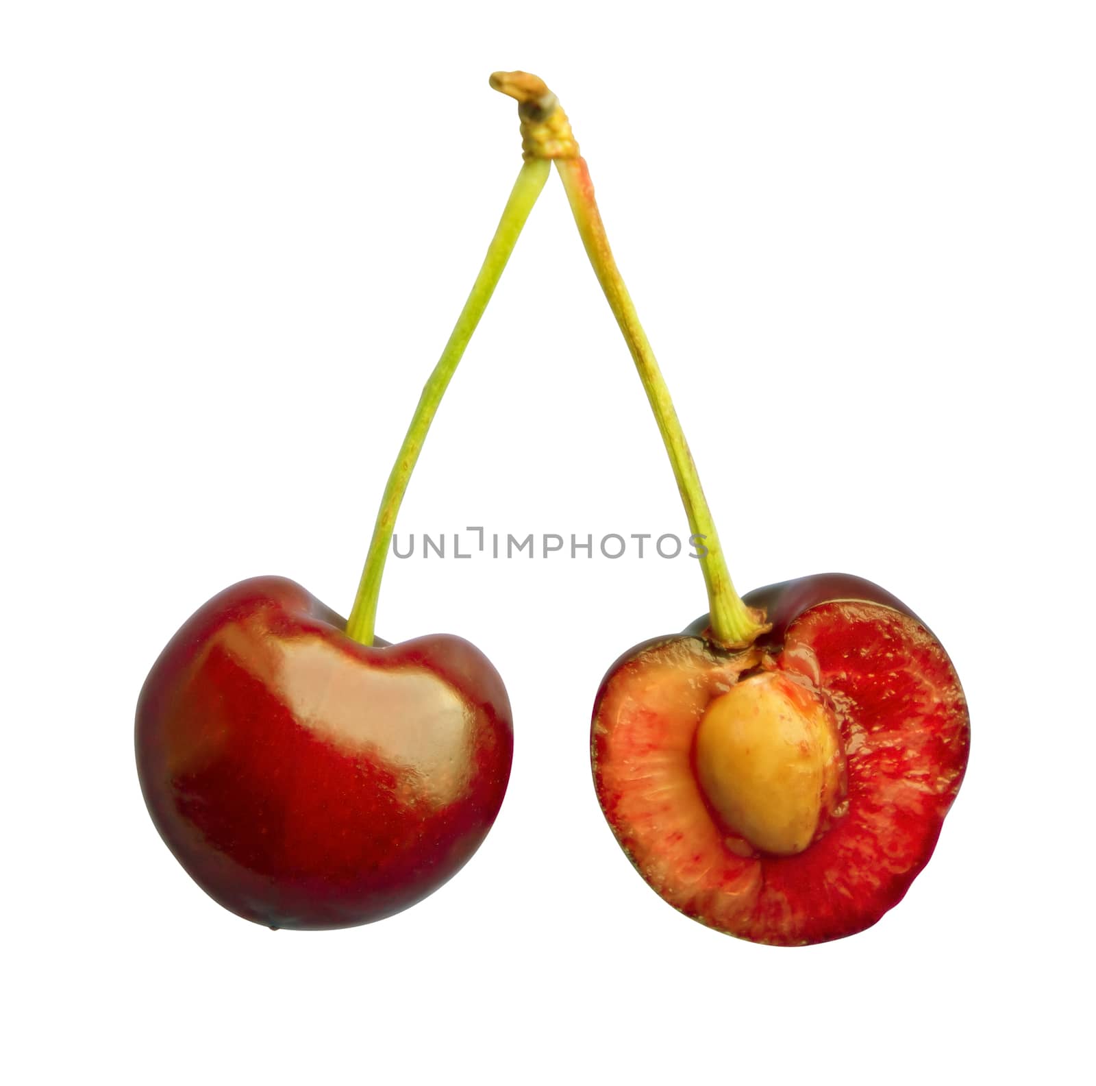 Fresh cherry fruits closeup isolated on white. Clipping path included. 