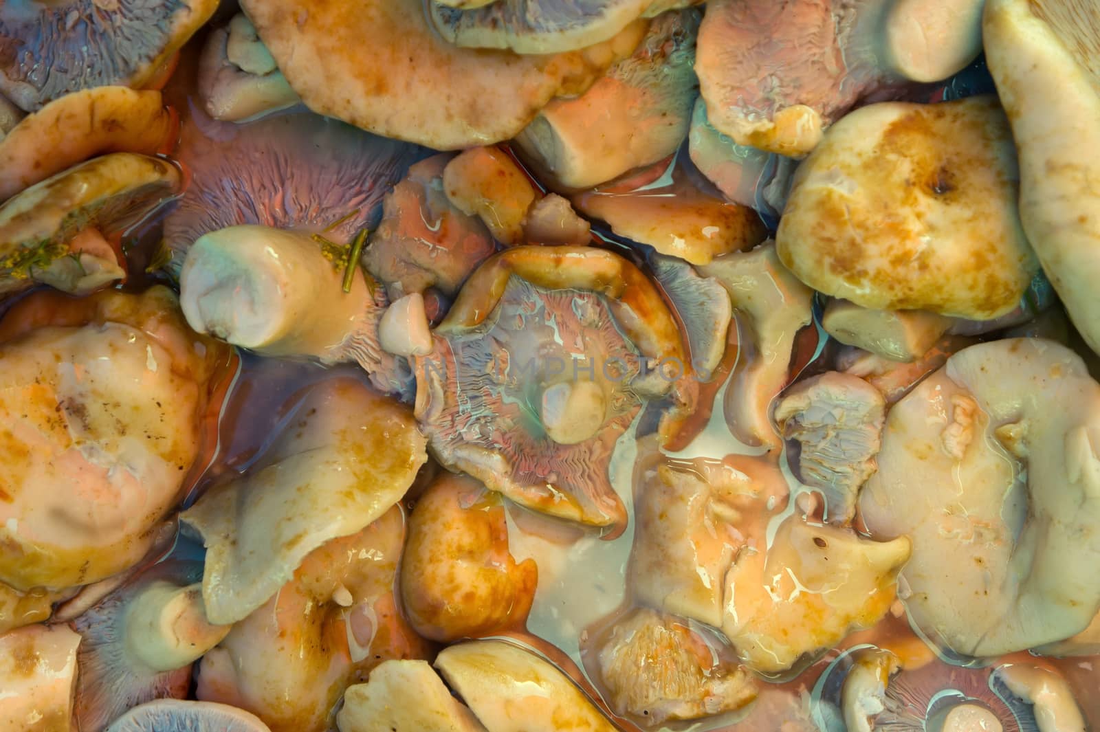 Pickled mushroom background by Venakr
