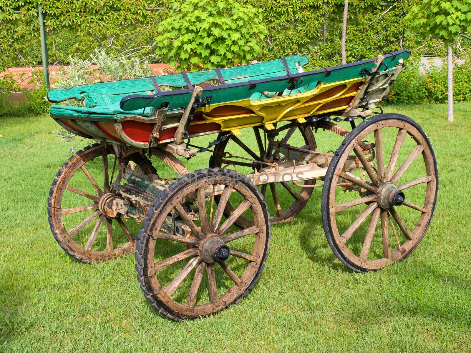 Ancient wooden cart standing on a green grass.