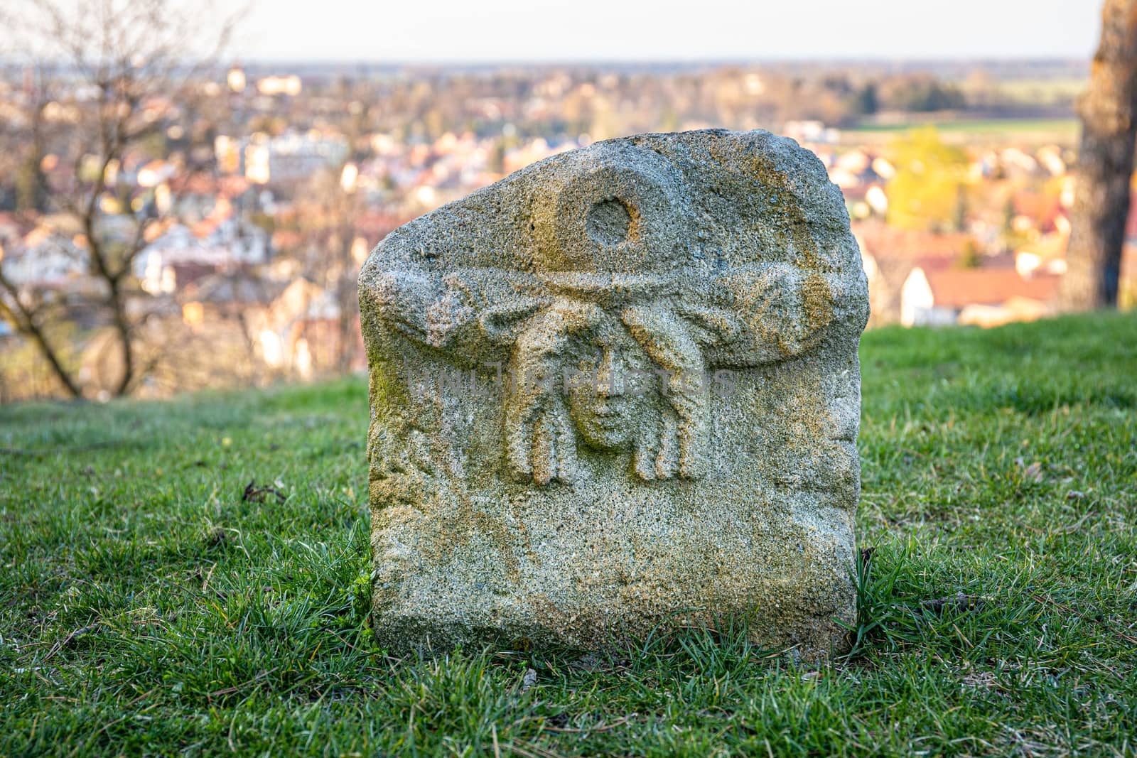 Pichora Marcomanni burial ground south of Dobrichov in the Kolin region Czech republic. Archaeological excavations With small lookout tower near the pine trees with wiew to small city Dobrichov.