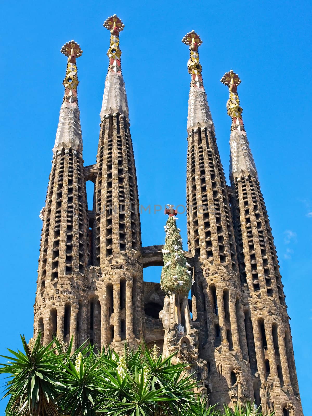 Sagrada Familia, Gaudi's most famous and uncompleted cathedral in Barcelona, Spain.