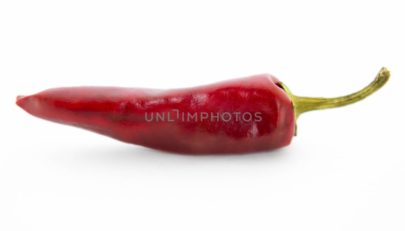 Chili pepper by Venakr