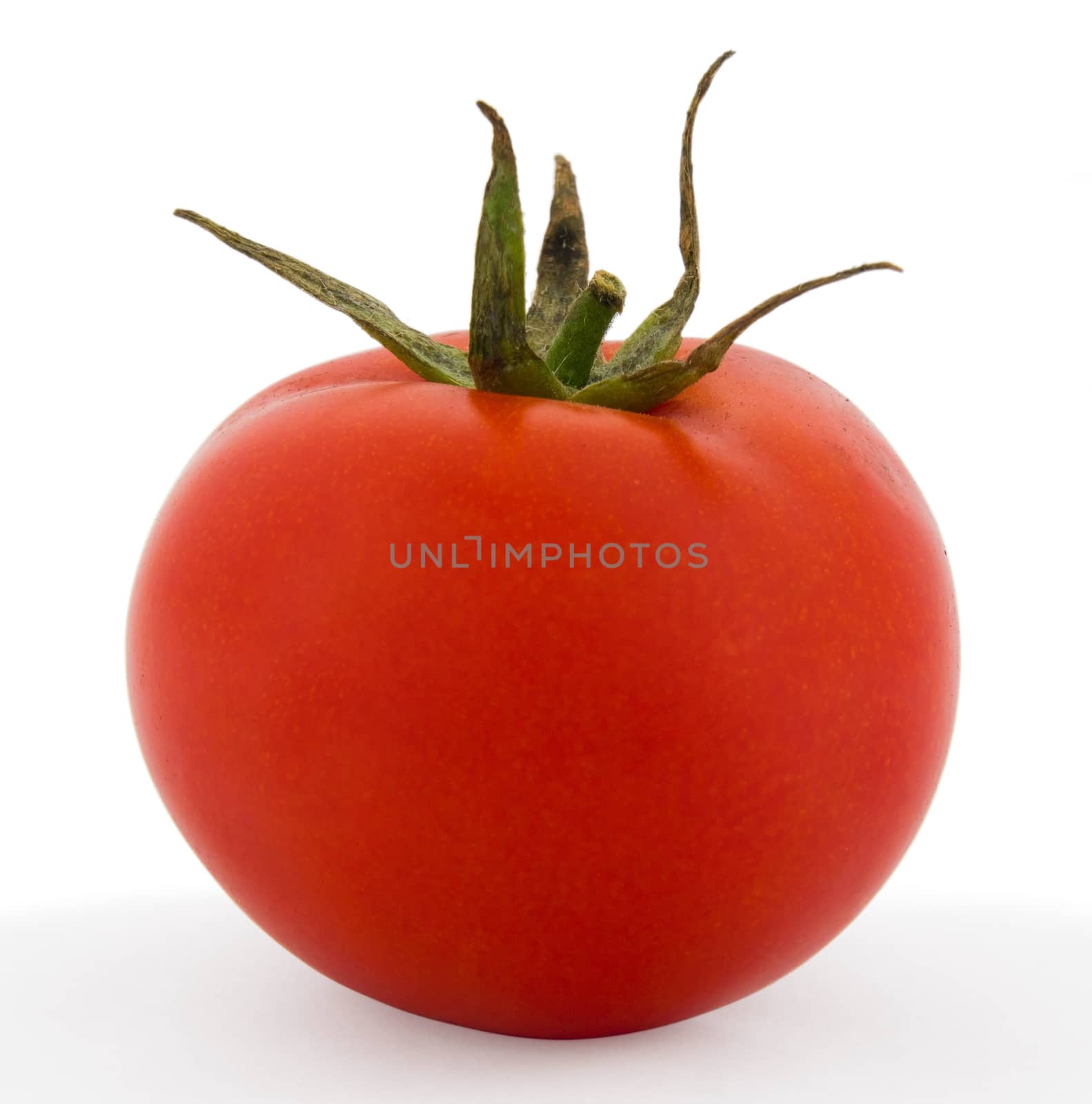 Red tomato with shadow isolated over white background. Clipping path.