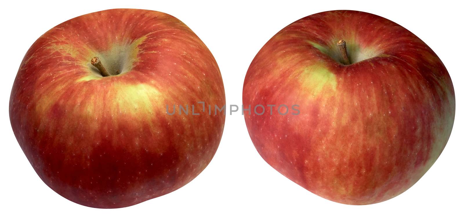 Two red apples isolated on white background. Clipping path.