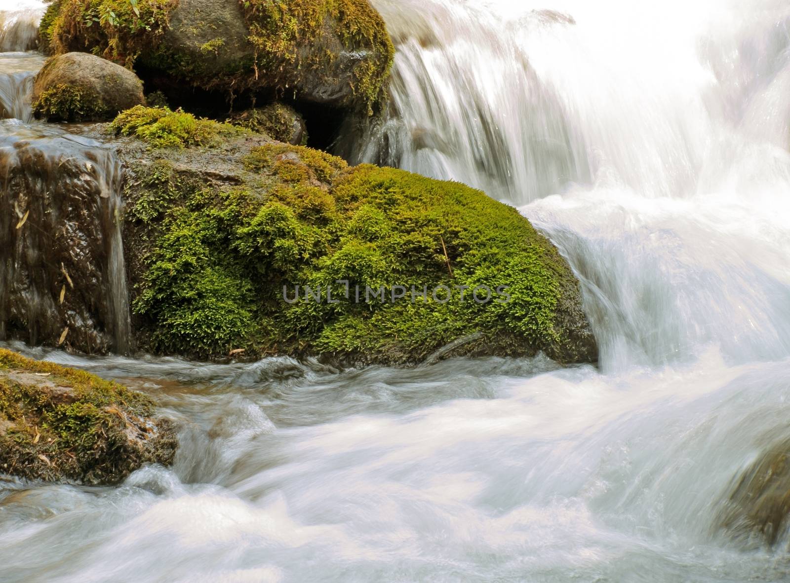 Forest stream running over mossy rocks in Alps mountains