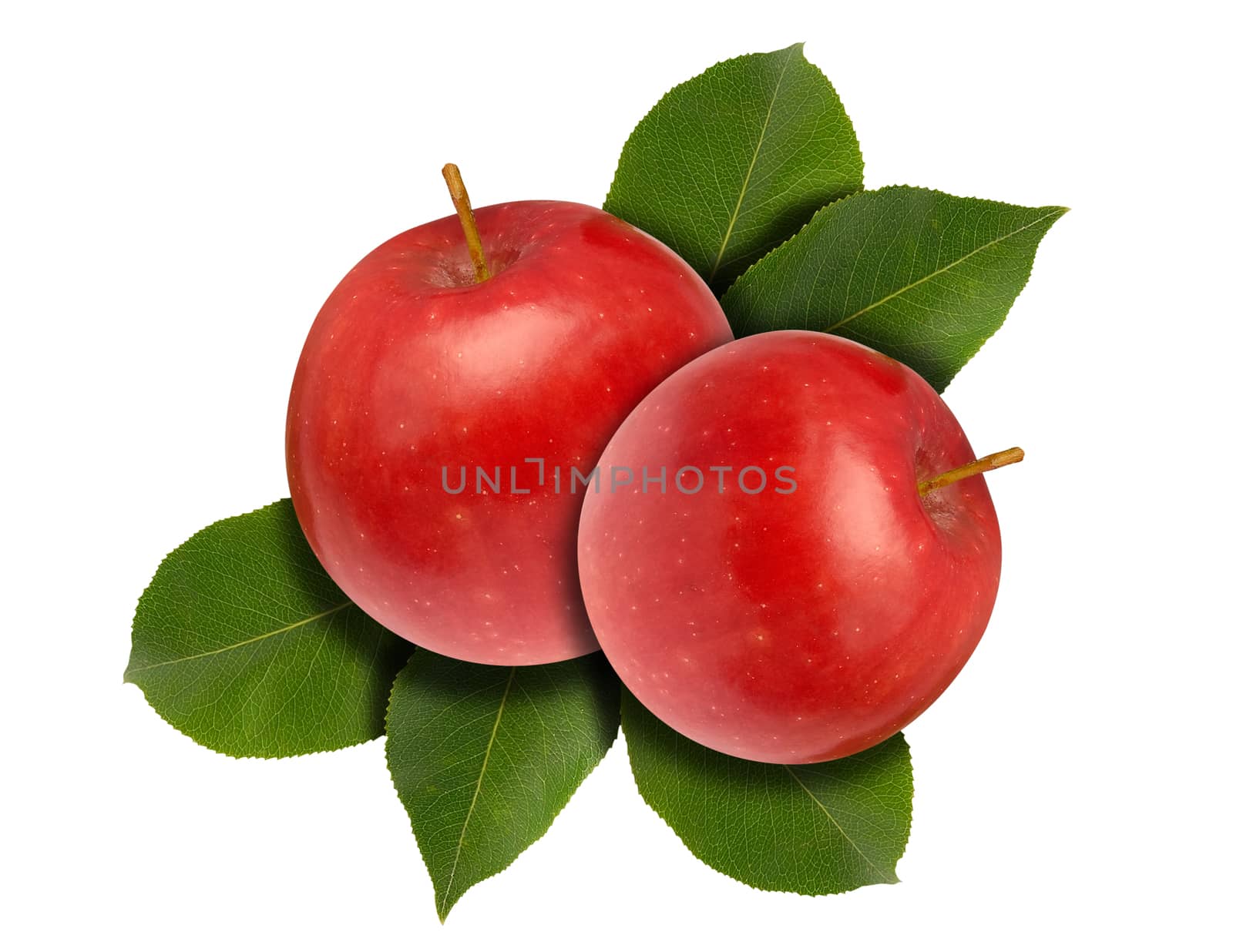 Two red apples with green leaves isolated over white.