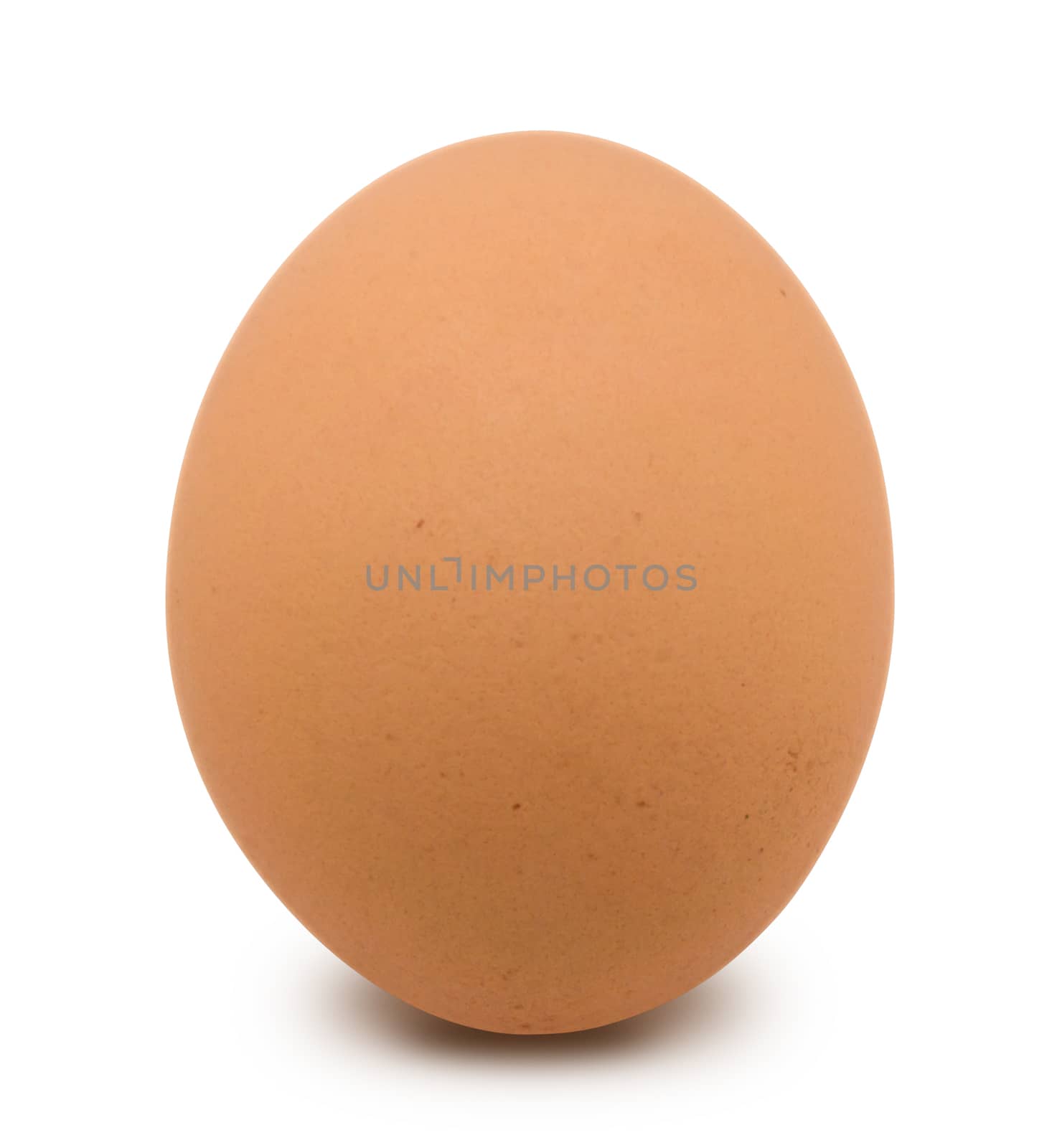 Close up of egg on white background with clipping path.
