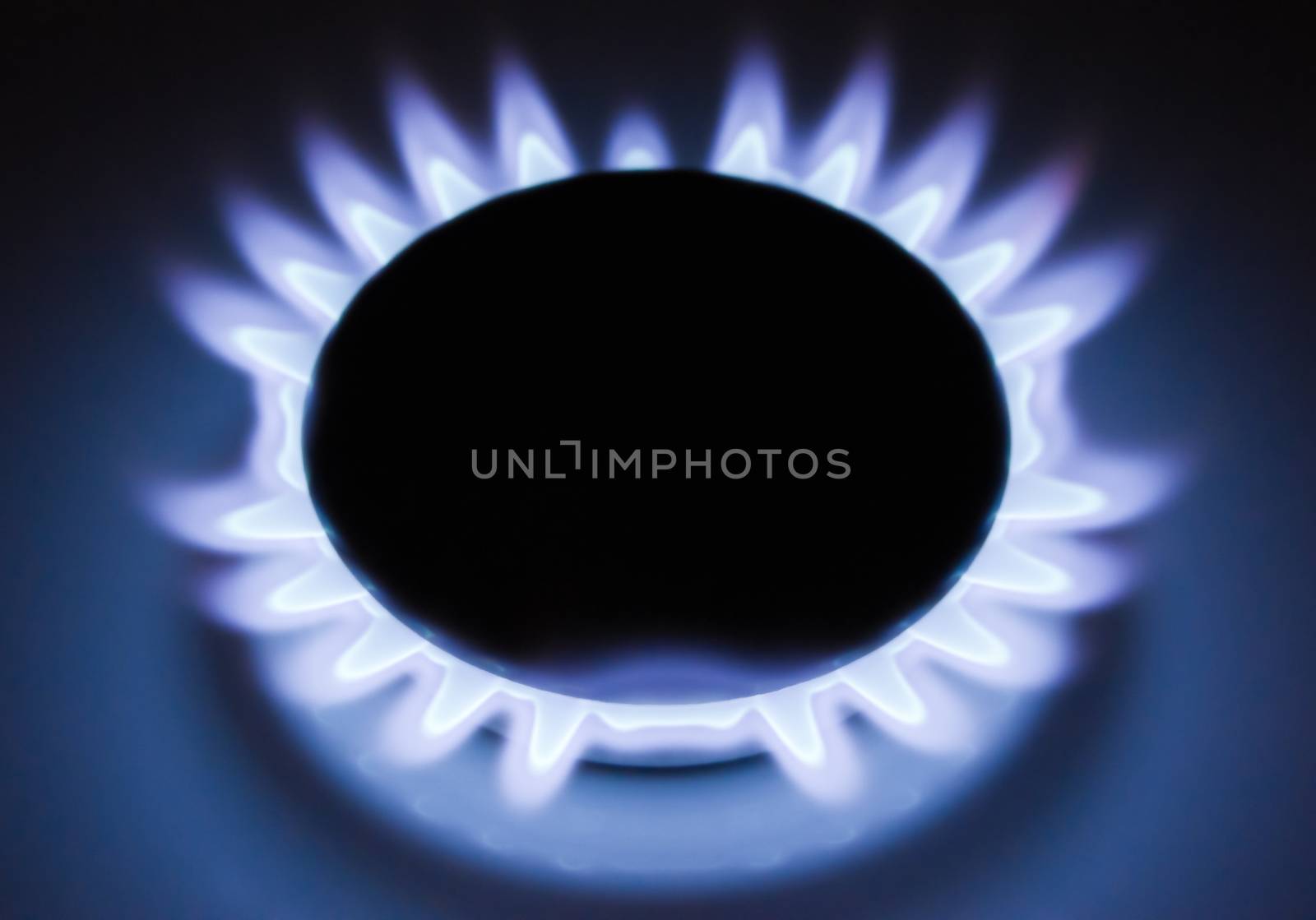 Blue flames of a burning natural gas. Gas cooker in action. 