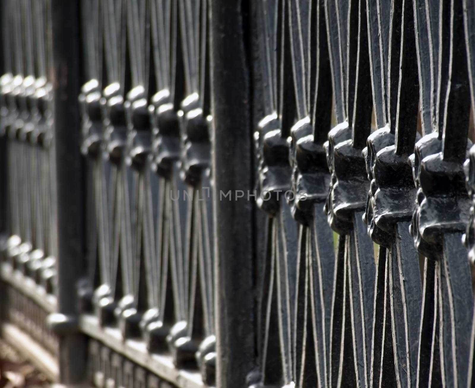 Fence in city park