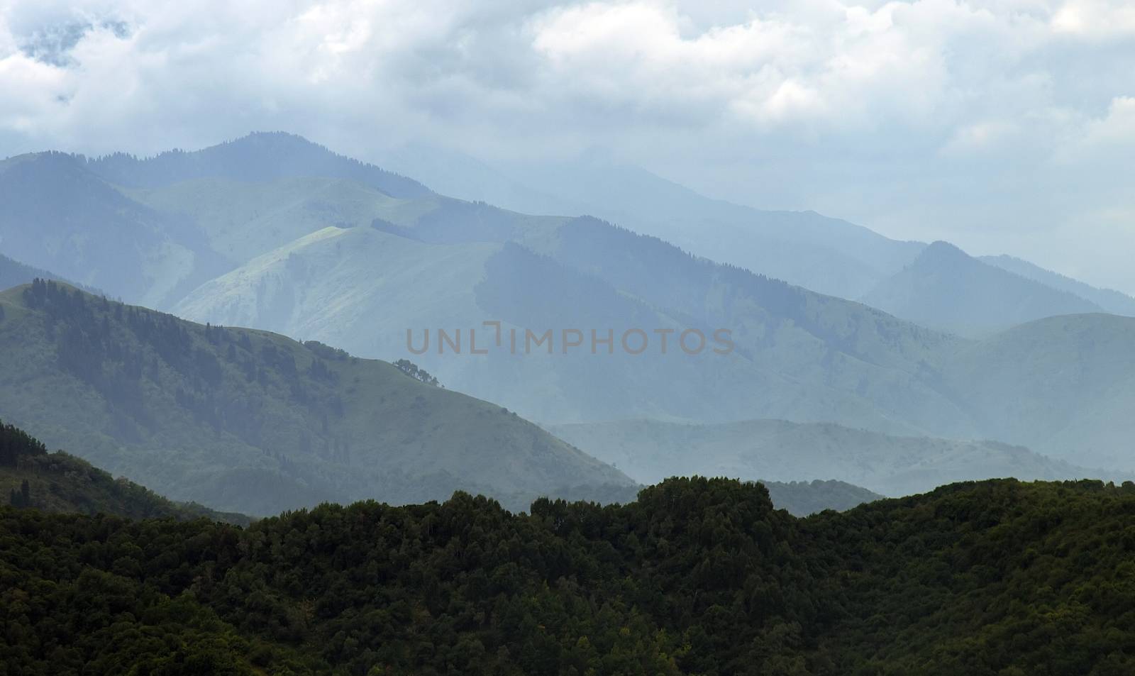 Summer rain in the mountains. Tien Shan. Kazakhstan.